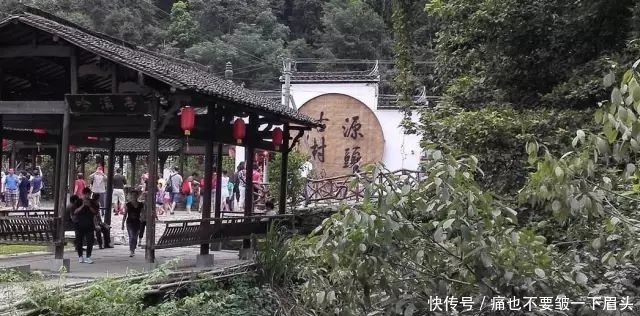 周末将至，走进青山碧水，去这片免费绿色世界吧！