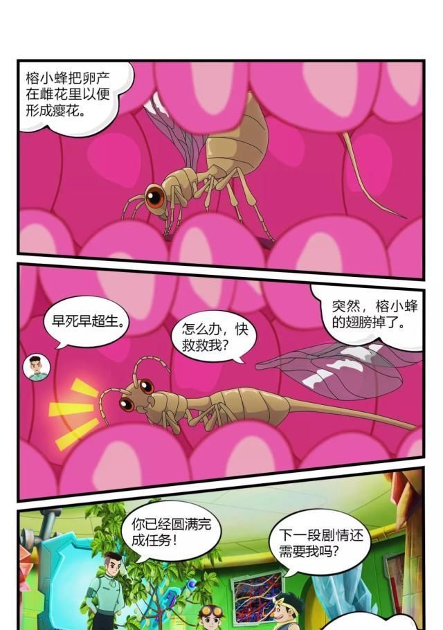  真的：果实内的旅行：无花果真的没有花吗？