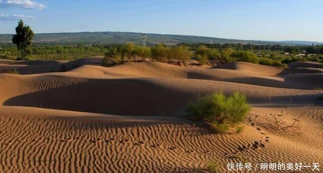  绿洲@中国最“神奇”的沙漠，60年前还是流沙，如今大部分已变成