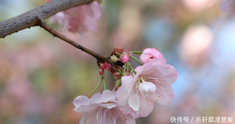  『风景』最会穿衣打扮的3大生肖女，气质很迷人，走到哪里都是最美的风景