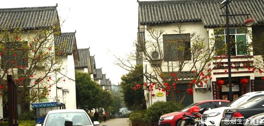  「试试」五年内，农村这两个“新路子”会有前景，不想打工的人