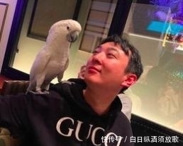  『好人』网友: 现实中的王思聪是怎么样的人?