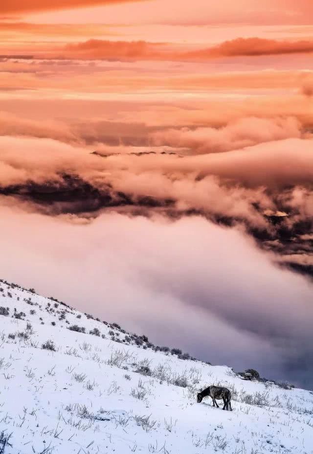 媲美新疆，叫板西藏，它才是人间最后的净土，一下雪便成了天堂！