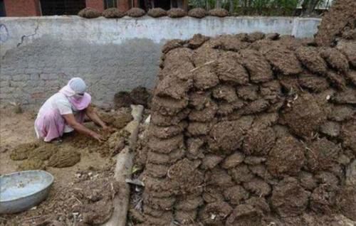  公交车|印度发明“牛粪公交”，一天消耗8吨牛粪的公交巴士，乘