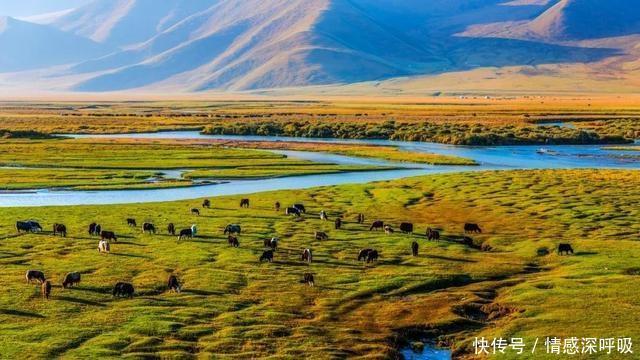 罕见！乌鲁木齐下黄雪这是来自大自然的警告！