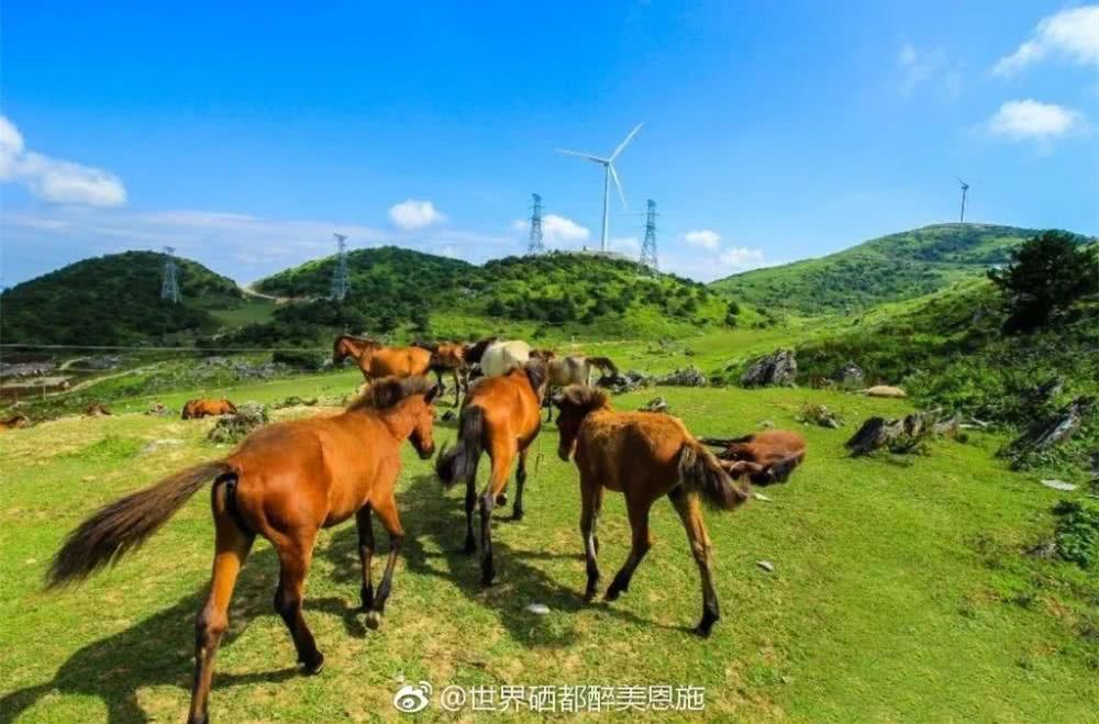  『湖北省恩施土』一夜之间爆火！上榜CNN，国内这座只有25℃的低调小城又到了最佳出行季！