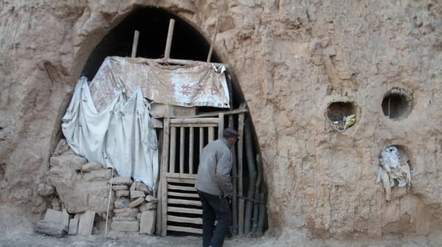  『老刘』甘肃6旬老人深山养牛，光挣钱，不会花钱，看钱都哪里去了