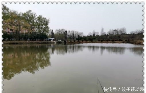  『大草』金圭鲤干上大草，顾不及断线跑鱼