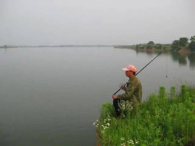  「饲养的甲鱼」一种历史悠久，技术含量很高的甲鱼钓法，如今只留在记忆里