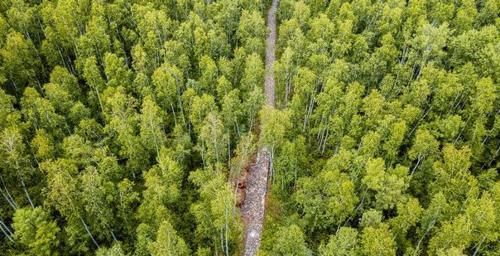 黄山绝壁栈道造的那么好，国内太多凌空栈道需要游客用肥胆去修验