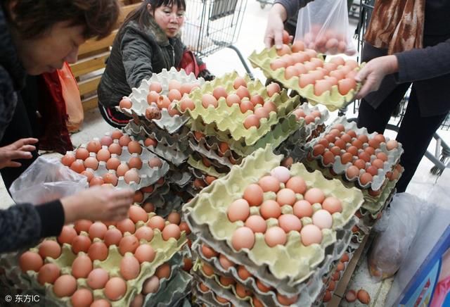 鸡蛋价格持续下跌，别高兴的太早，还会涨回来的！