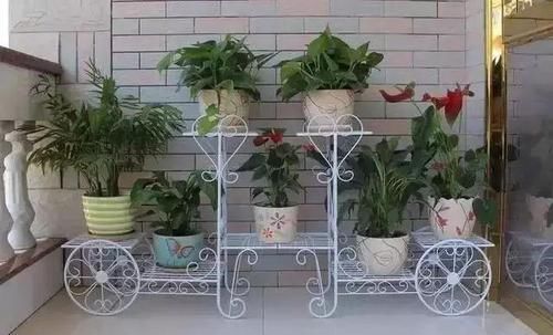  #花架#原来阳台还能这样种花，一看就像个花园，太漂亮了！