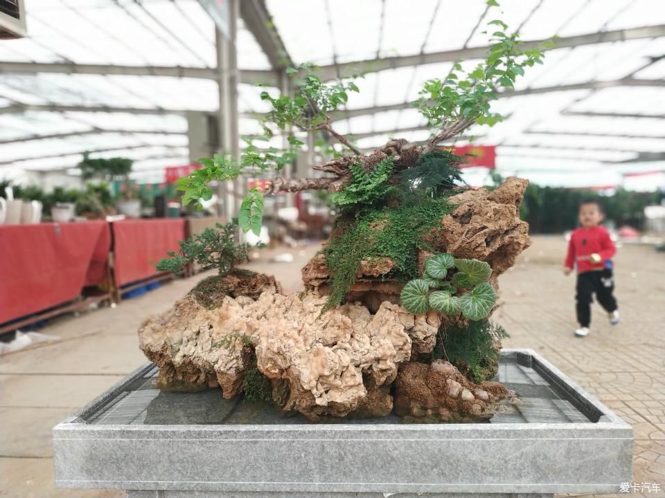  『色彩纷呈』【4月，你好】花花世界 色彩纷呈 赏心悦目