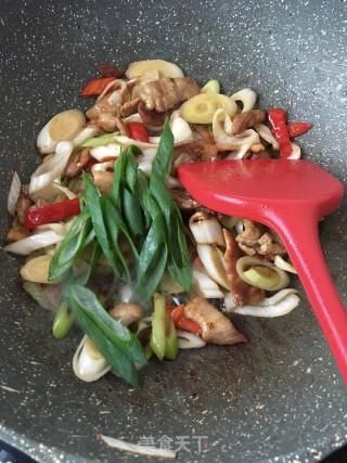  「芽葱」“春日应季美食”春葱炒肉