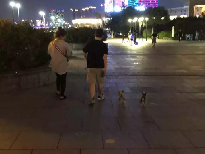 网红当街殴打孕妇！警方凌晨发布最新通报：违法行为基本查清；其