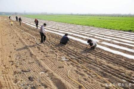  『适合春季播』二月清明不在前，三月清明不在后，今年春耕生产该提前还是退后？