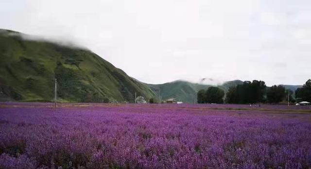 青藏线难，川藏线美，一入西藏误终身