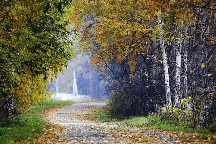 再过半个月，贝加尔湖的秋简直要逼疯摄影师!