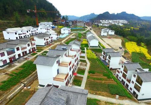  「新兴行业」农村有3个新兴行业，未来或将成为香饽饽，有想法的