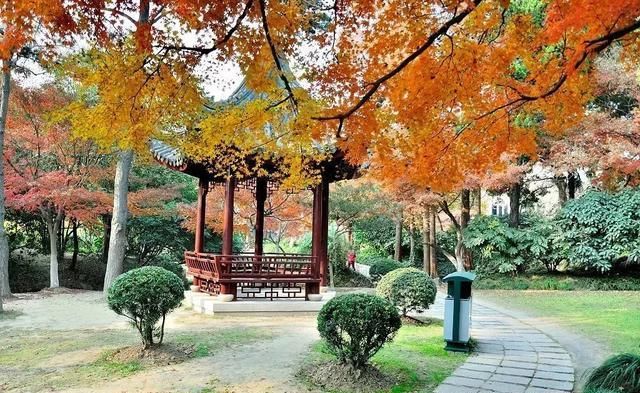 别老想着去日本拍红叶,中国这些地方的红叶也很好看