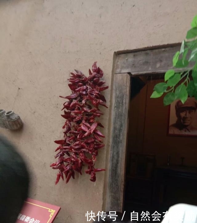  玉米棒子@这是一位“县委书记”家，你能相信么？花博会一景