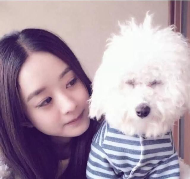 赵丽颖力破谣言？网友却拍到不一样的画面，爱犬还被寄养给朋友！