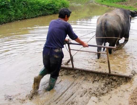 若农村60岁的老人,每人每月5百养老金,他们的生活能改善吗！