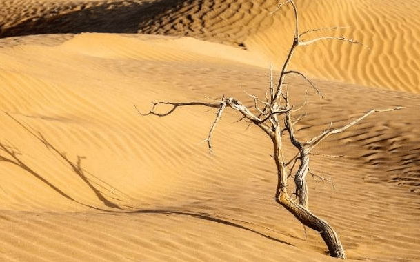 假如将中国的塔克拉玛干沙漠改造成绿洲，我国会有什么变化