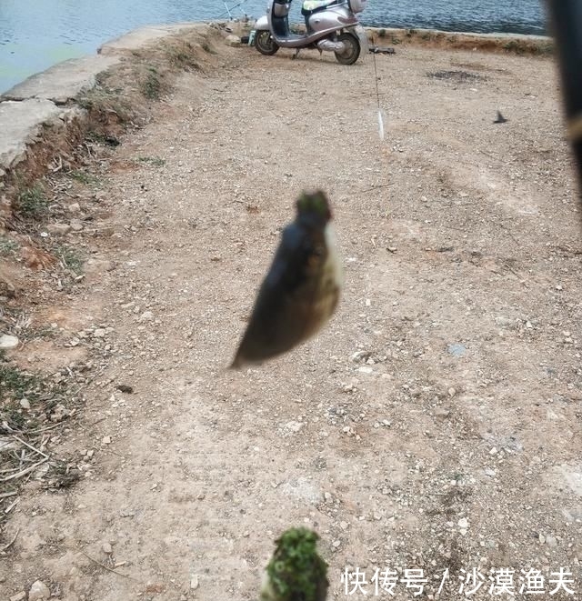  『立春后』立春后万物复苏，正是钓鱼的好时节