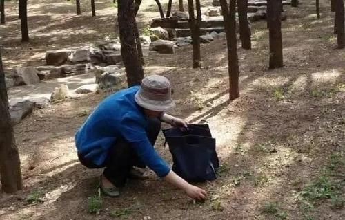  「拿回来」以前从来不偷鸡摸狗，自从喜欢养花，垃圾桶也不放过