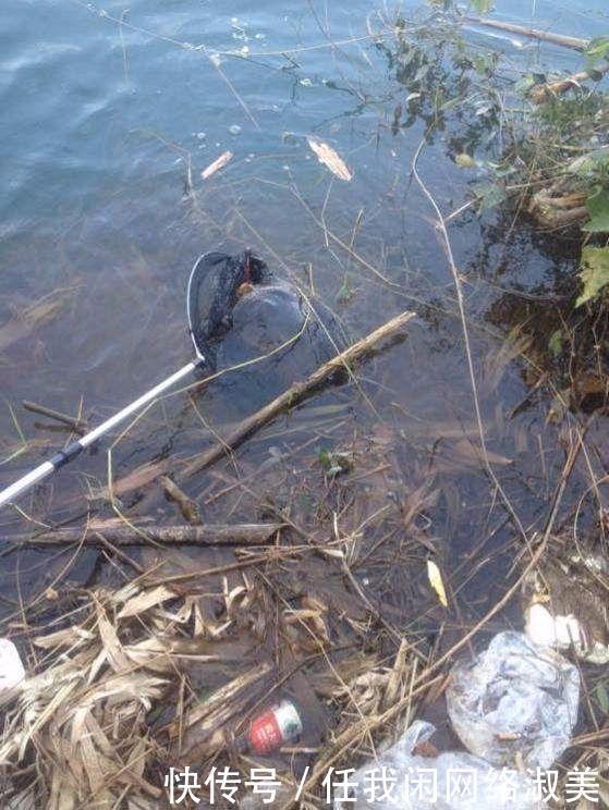  「去钓鱼」农村水库里的宝贝, 一个能卖2000多，一般人不敢去捉