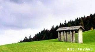  鲜花：适合农村的创业点子，就看你敢不敢做