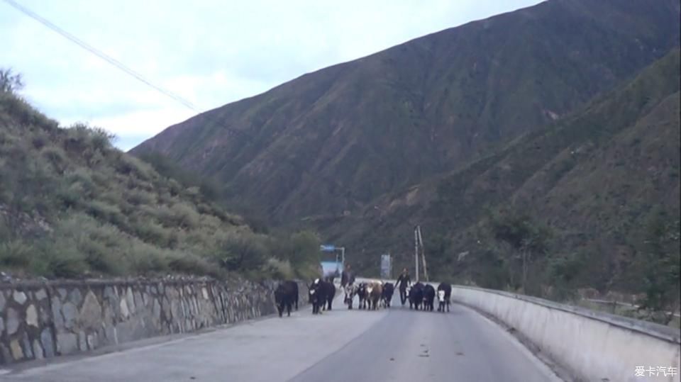带着年迈父母去西藏，单车自驾奇骏，川进青出，13天7000公里~