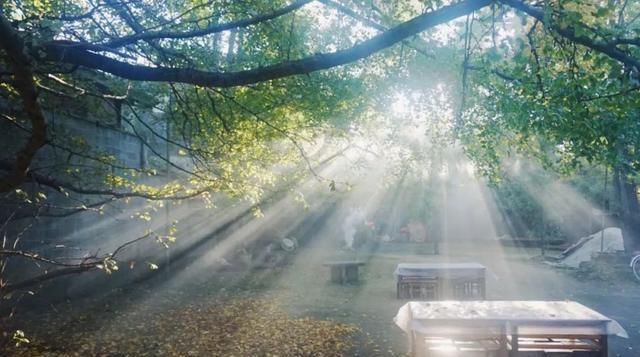 贝壳分享｜|看完这篇，又多了好多打卡地