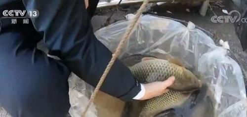  名副其实|列车长还能“带货”？这趟火车上挂着价目表