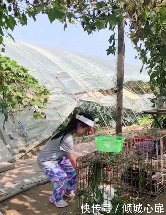 贾乃亮没给李小璐过生日