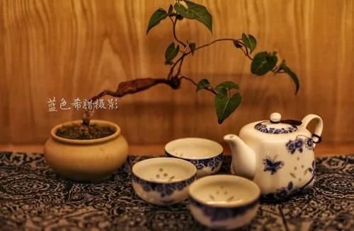  #拍摄#诗意摄影，如何把“檐下窗棂斜映枝桠，与你席地对座饮茶”拍摄得如诗如画？