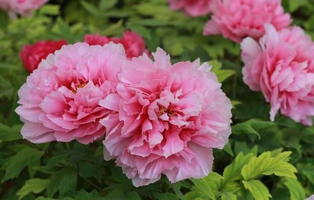 长期被人低估的一个省份，感觉很穷，实际GDP近5万亿全国第5!