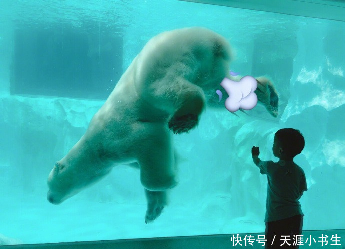 吴京坑儿子吴所谓，连发两条有气味微博，网友：你咋跟屁杠上了？