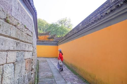 这里遍地都是硅化木化石，还有满坡的恐龙蛋却没有人去挖