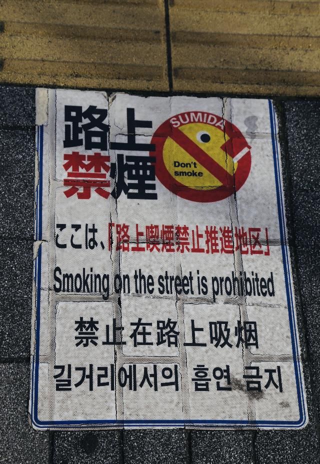 说走就走的旅行——回忆镰仓，浅草祈福，情怀东京