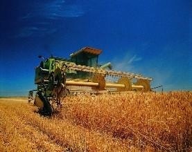  「待遇」农村地补陆续发放，看看哪些人的待遇会提高，哪些人将