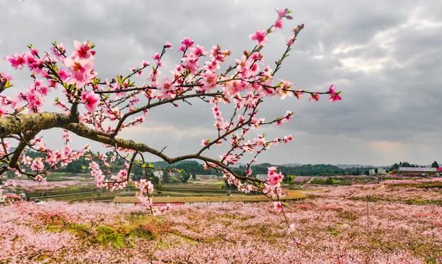  #旅游度假区#春游到南充，安逸得ban