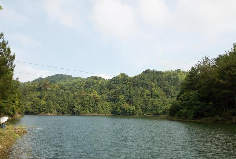 「熟记」春季钓鱼,熟记3钓3不钓,钓好鱼很轻松