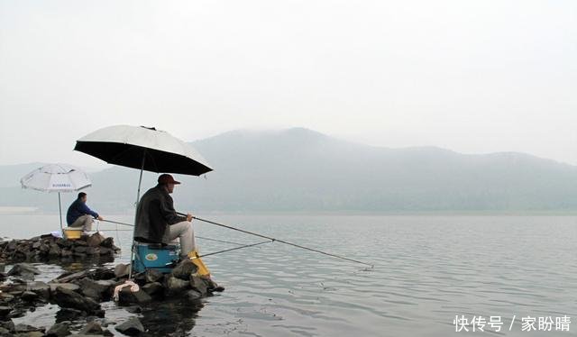 【季雨天钓】雨天更容易遇到大鱼,想要渔获满满,这些雨天钓鱼技巧不可少