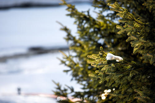 一座佛道共存的寺庙，几位饱经沧桑的信徒