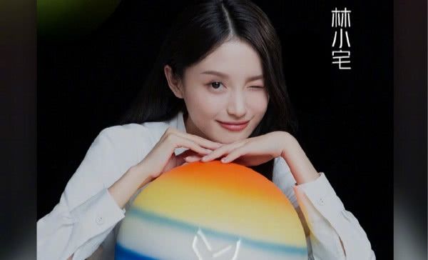 粉丝@坐拥千万粉丝的林小宅，为何在人气榜上仅排第18名？