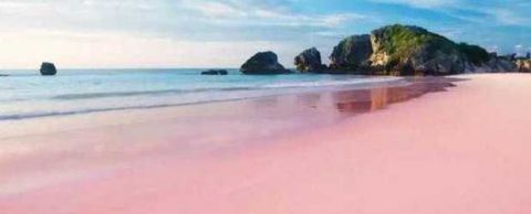 全球最具少女心的沙滩 一眼望去都是粉红色 美的一塌糊涂