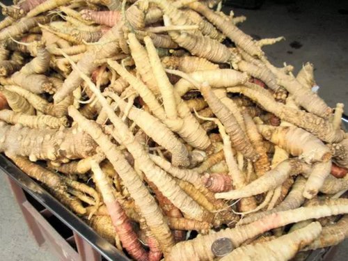  「稀罕」农村砂石地一种植物，以前农民用来喂猪，如今一斤50成