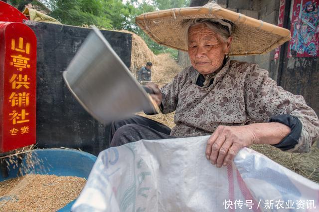 农村违建“一刀切”：设施不让造，农业无发展？实际情况是这样的